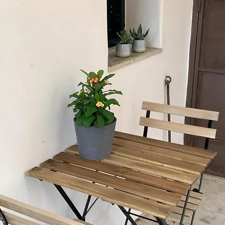 Mita Katania